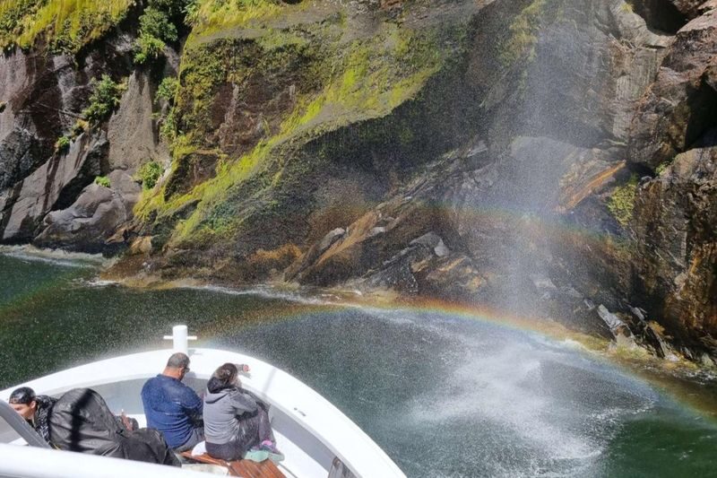 Milford Sound Full-Day Small Group Tour with Lunch - Picnic lunch and snacks ease the long day