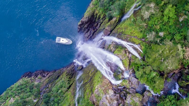 Milford Sound Full-Day Small Group Tour with Lunch - Should you book this Milford Sound tour?