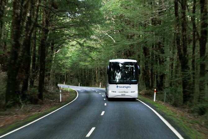 Milford Sound Full-Day Tour From Te Anau - Check Availability