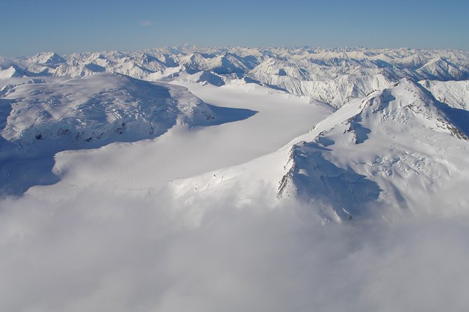 Milford Sound Glacier Flight & Cruise From Wanaka - Traveler Photos and Reviews