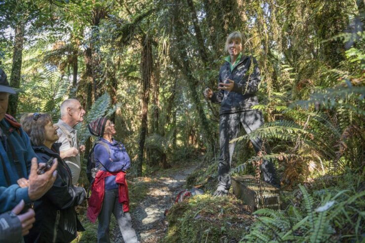 Milford Sound: Half-Day Guided Milford Track Walk - Activity Details