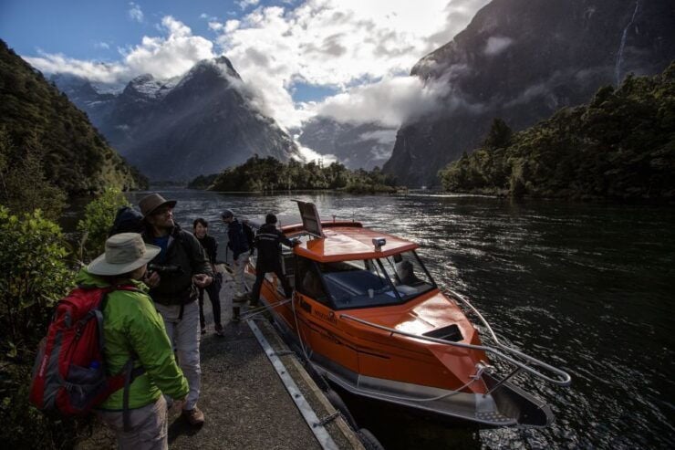 Milford Sound: Half-Day Guided Milford Track Walk - Experience