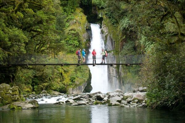 Milford Sound: Half-Day Guided Milford Track Walk - Common Questions