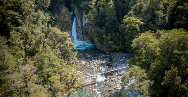 Milford Sound: Half-Day Guided Milford Track Walk - The Sum Up