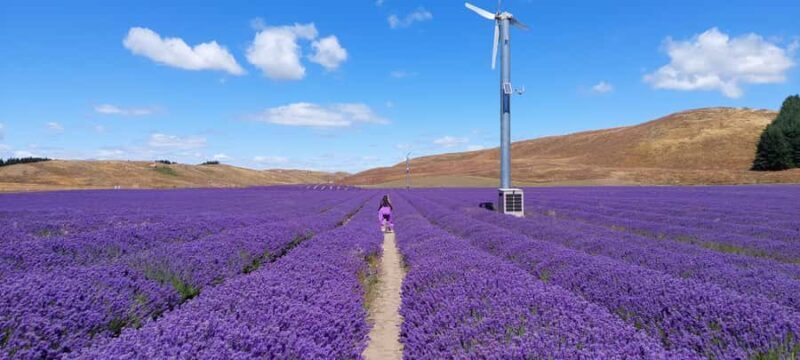 Milford Sound, Mount Cook & More: 4 Day Tour from Queenstown - Discover the South Island in Style: A 4-Day Tour from Queenstown