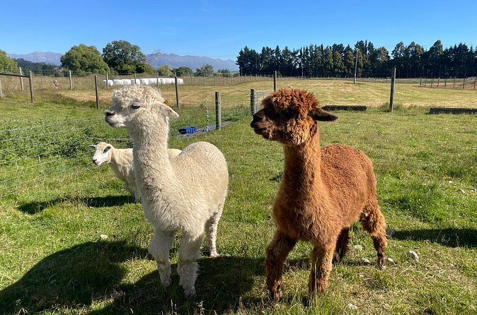 Milford Sound Nature and Te Anau Farm Visit Over 2 Days - FAQs