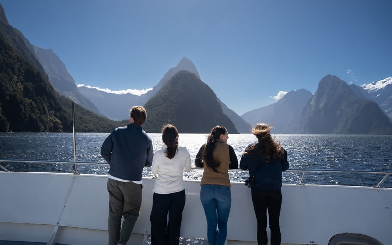 Milford Sound Nature Cruise by Southern Discoveries - Seals, dolphins and the chance of penguins