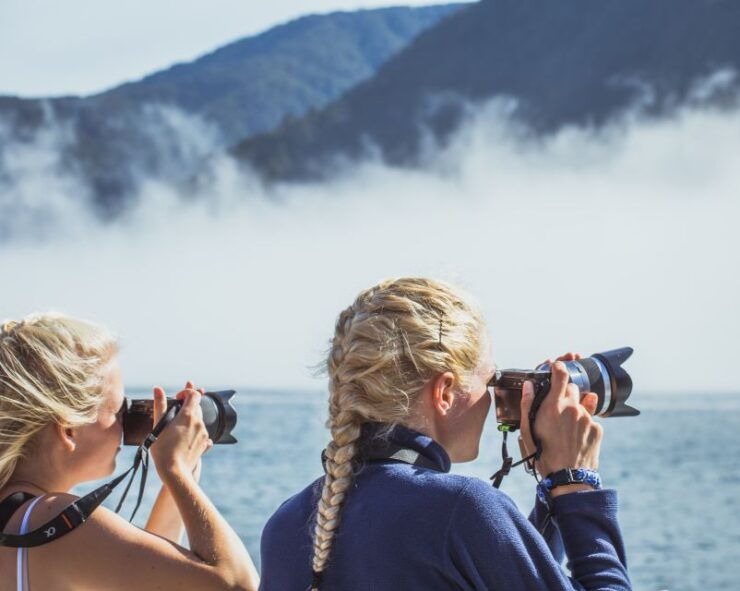 Milford Sound: Nature Cruise on Premium Glass-Roof Catamaran - Ticket Information