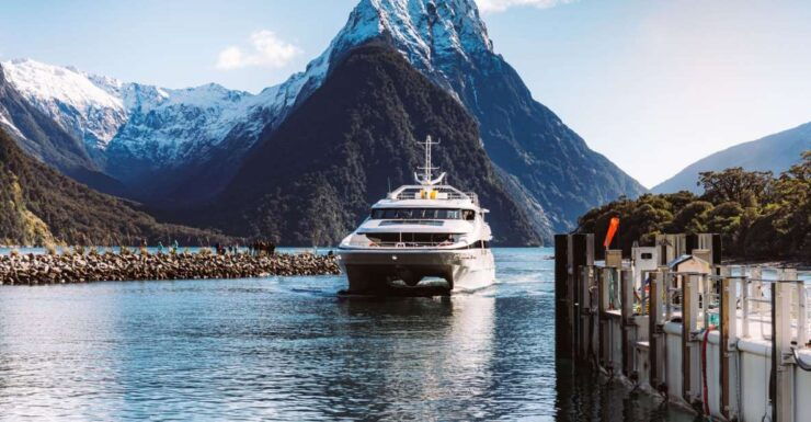 Milford Sound: Nature Cruise on Premium Glass-Roof Catamaran - Experience Highlights