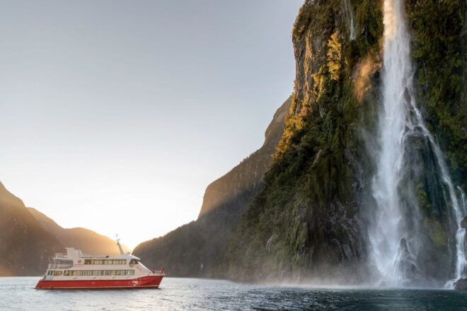 Milford Sound: Nature Cruise With Picnic Lunch - Related Activities