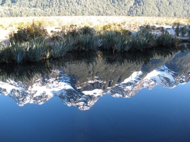 Milford Sound Premium Day Tour and Cruise From Te Anau - Experience Highlights