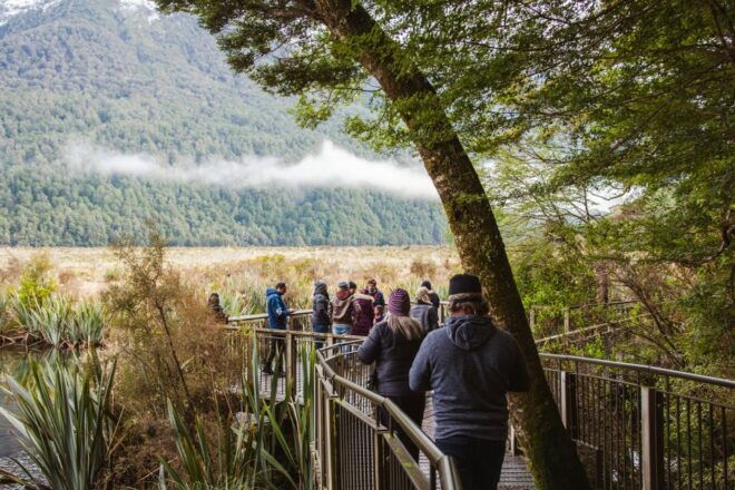 Milford Sound: Premium Small Group Tour From Queenstown - Pricing and Availability