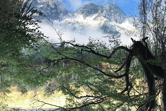 Milford Sound Private Tour With Lunch and Boat Cruise - Reviews and Ratings
