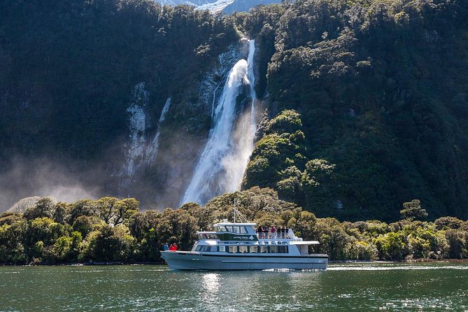 Milford Sound Scenic Cruise - Positive Reviews and Feedback