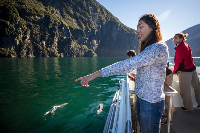 Milford Sound Sightseeing Cruise Including Optional Lunch - Dress Code and Equipment