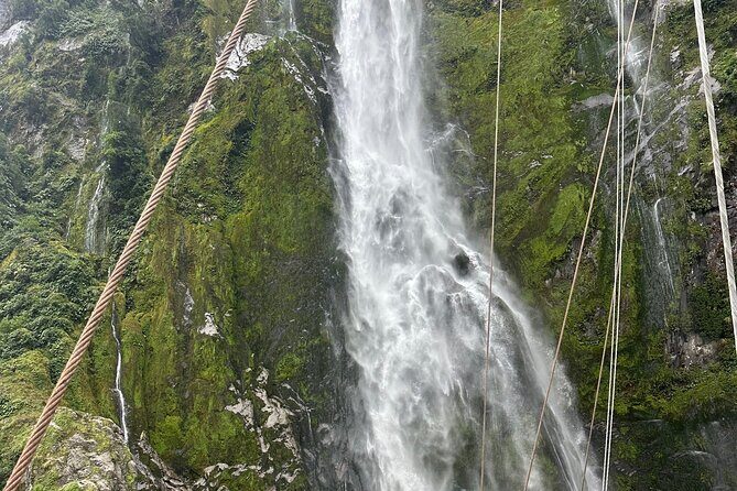 Milford Sound Small Group Day Tour From Queenstown - What makes this tour stand out?