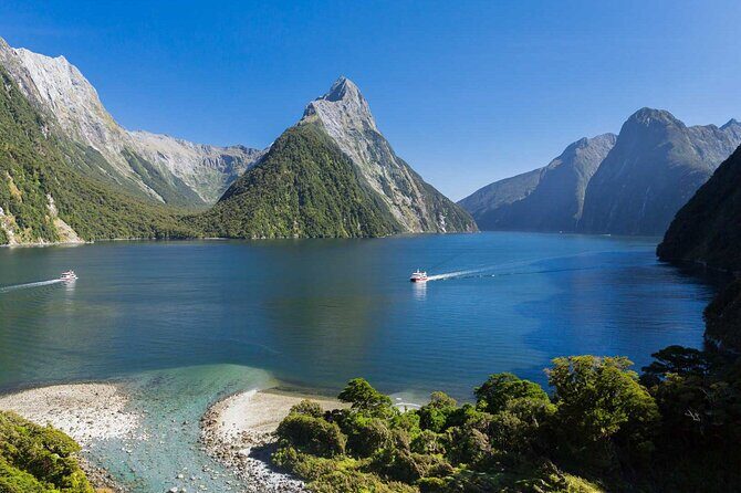 Milford Sound Small Group Tour, Cruise & Picnic Lunch - Who Will Love This Tour?
