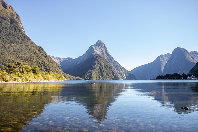 Milford Sound Small Group Tour From Queenstown With Scenic Flight - Highlights of the Tour