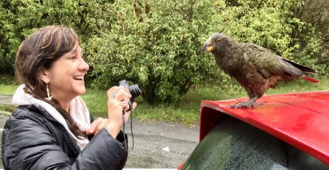 Milford Sound: Small-Group Tour From Te Anau - Additional Information