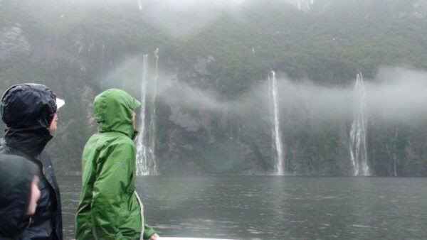 Milford Sound: Small-Group Tour From Te Anau - Common Questions