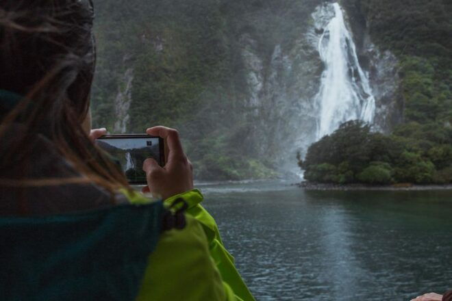 Milford Sound: Waterfalls, Wildlife, and Rainforest Cruise - Full Description