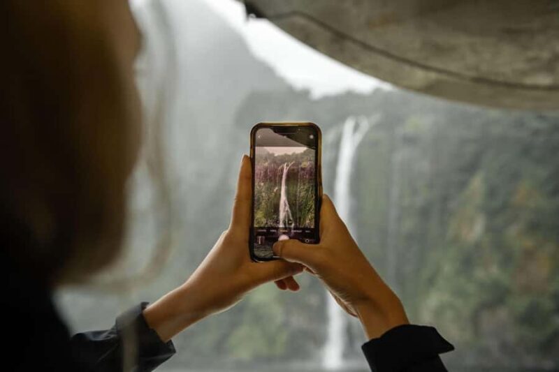 Milford Sound: Wildlife & Nature Cruises - The Experience in Detail