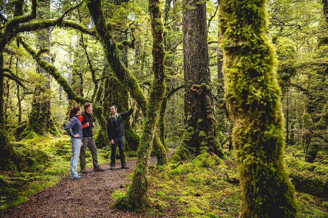 Milford Track Day Walk with Lake Te Anau Water Taxi - Insights from Actual Reviewers