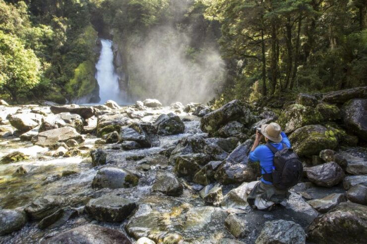 Milford Track: Full Day Guided Hike and Nature Cruise - Activity Details