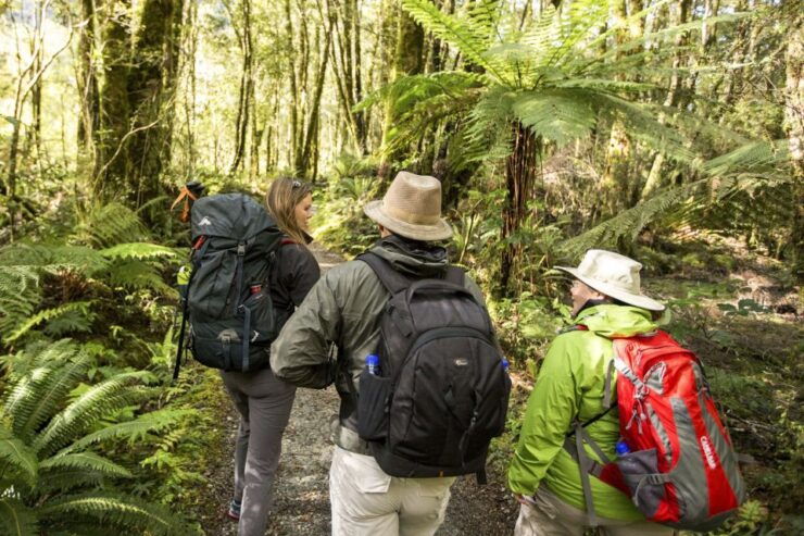 Milford Track: Full Day Guided Hike and Nature Cruise - Experience