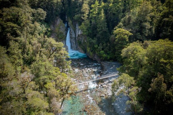 Milford Track: Full Day Guided Hike and Nature Cruise - Related Activities