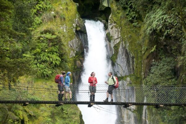 Milford Track: Full Day Guided Hike and Nature Cruise - Customer Reviews and Ratings