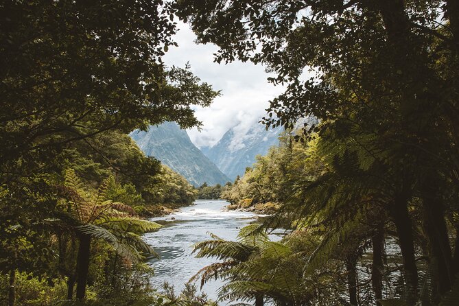 Milford Track Water Taxi Transport - The Sum Up