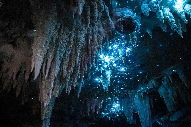 Milky Way Glowworm Cave Tour - Good To Know