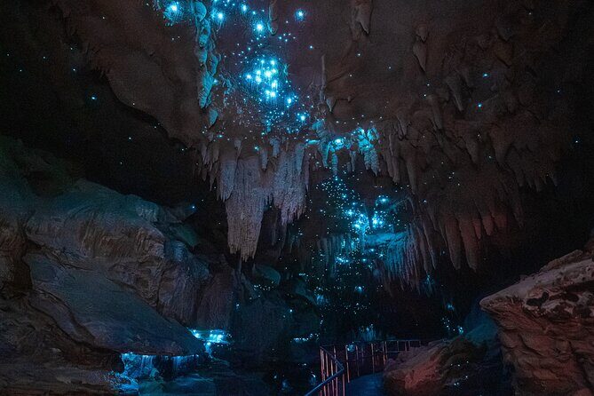 Milky Way Glowworm Cave Tour - The Itinerary in Detail