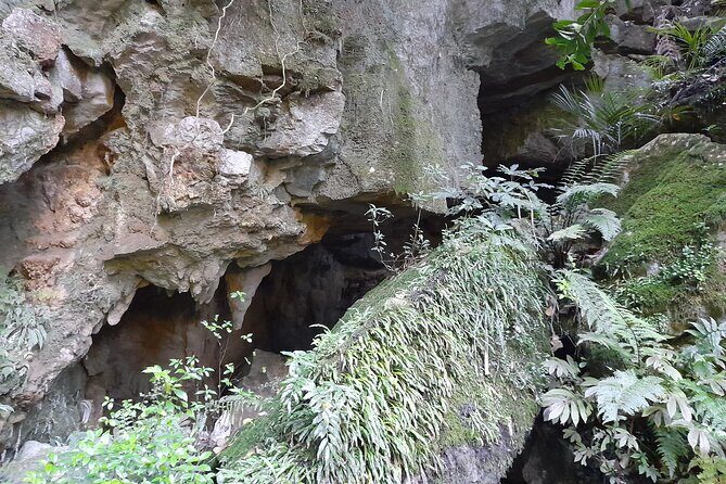 Milky Way Glowworm Cave Tour - Additional Tour Options