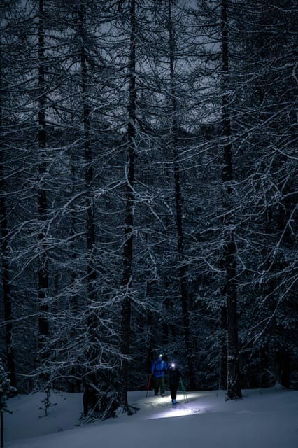 Milky Way: Night Snowshoeing Under the Stars - Good To Know