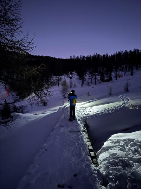Milky Way: Night Snowshoeing Under the Stars - Safety First: Guided Hike Through the Mountains