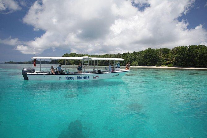 Milky Way, Shark City Island, Beach and Rock Island Tour - Getting to Know the Tour: What’s Included and How It Works