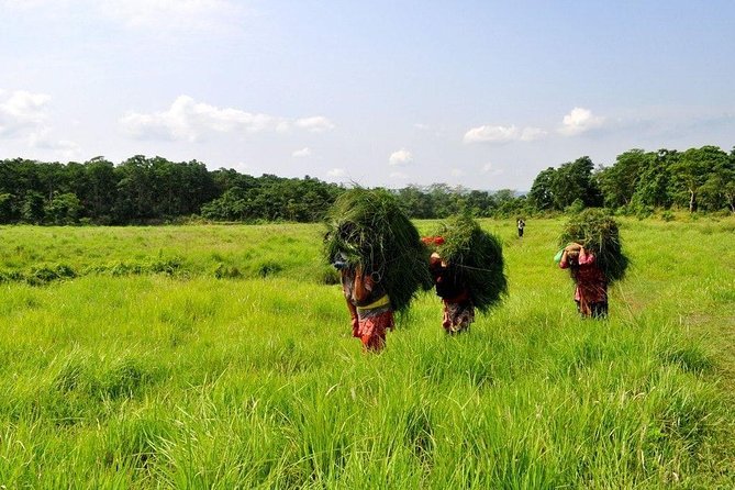 Millennium Homestay Trek - Common Questions