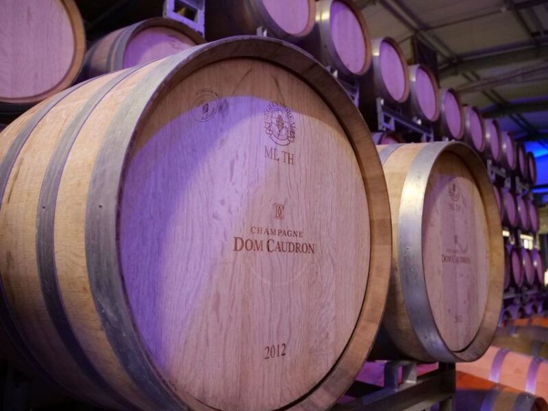 Miller Experience - Tour in French - Champagne Passy-Grigny - Highlights of the Champagne Tour