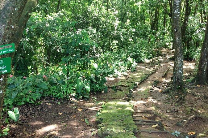 Millet Rainforest Hiking Experience - Frequently Asked Questions