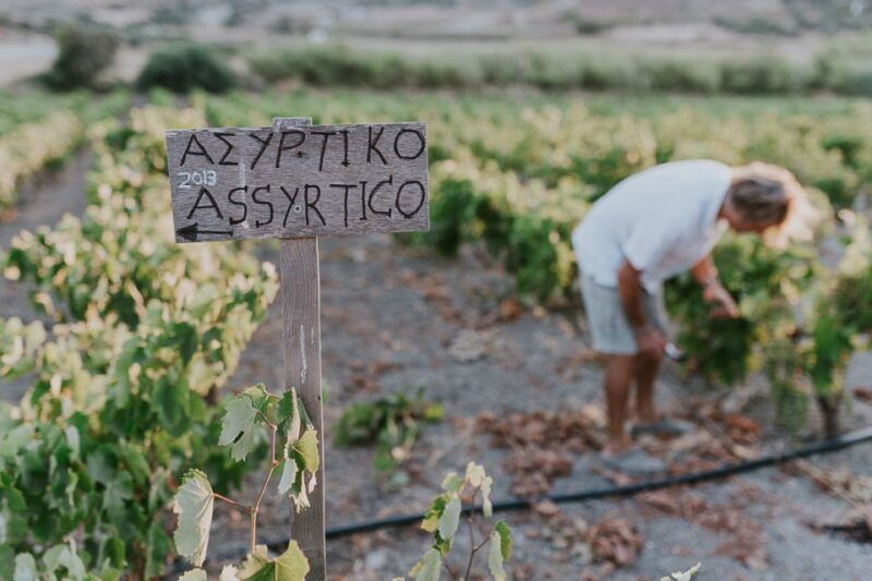 Milos Island: Kostantakis Winery Wine Tasting Experience - Who Should Consider This Experience?