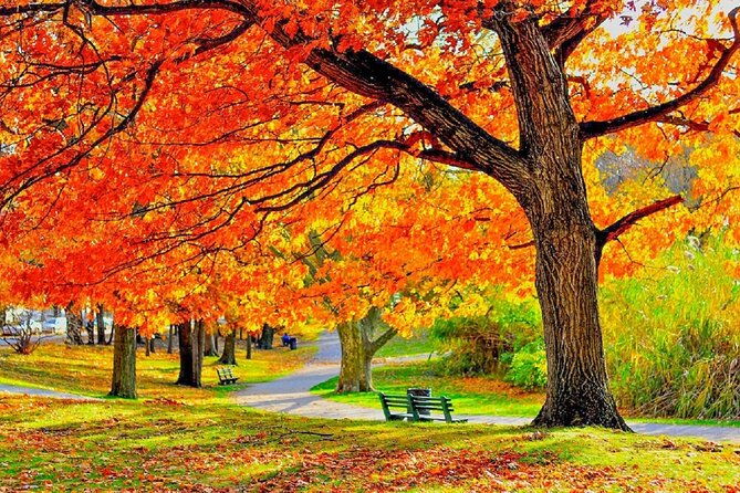 Milwaukee Day Tour from Chicago w/Optional Foliage Season Upgrade - Autumn Foliage Upgrade: A Scenic Detour