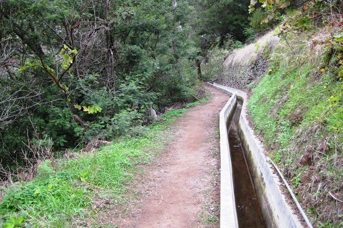 Mimosa Valley and Marocos Levada Guided Walk - Madeira - Cancellation Policy Details