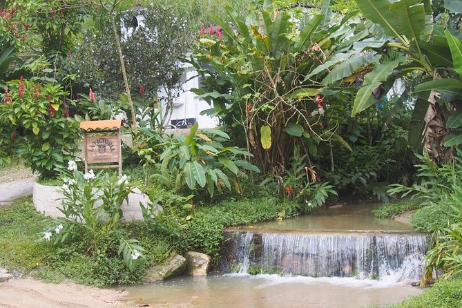Minca, Waterfalls and Coffee Farm Tour From Santa Marta - Booking Details