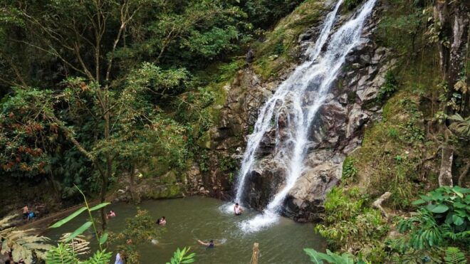 Minca, Waterfalls & Coffee Farm Tour - Booking Information