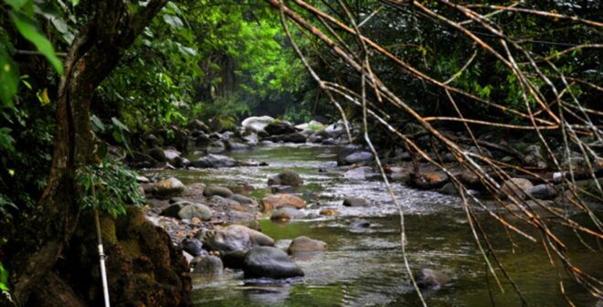 Minca, Waterfalls & Coffee Farm Tour - Important Tips