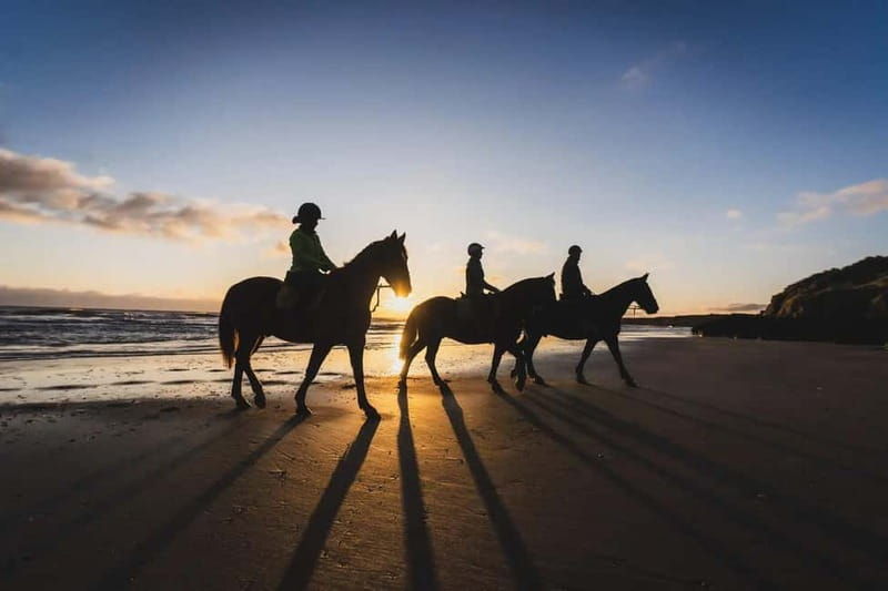 Mindful Horseback Escape  Kissamos - Who Will Love This Experience?