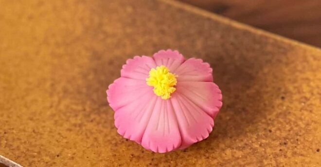 Mindful Wagashi Making & Tea Ceremony in Japanese Garden - Tea Ceremony Tradition