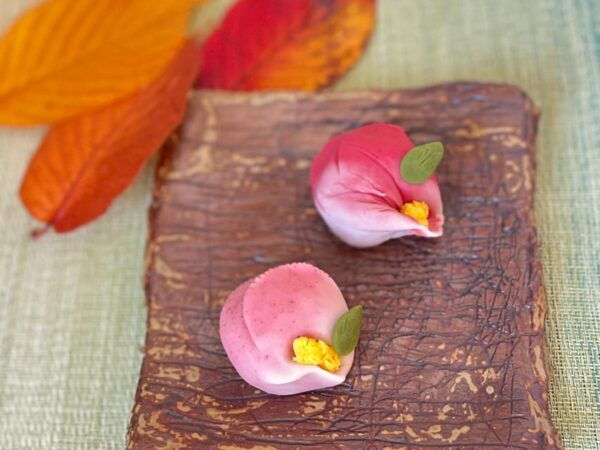 Mindful Wagashi Making & Tea Ceremony in Japanese Garden - Important Guidelines